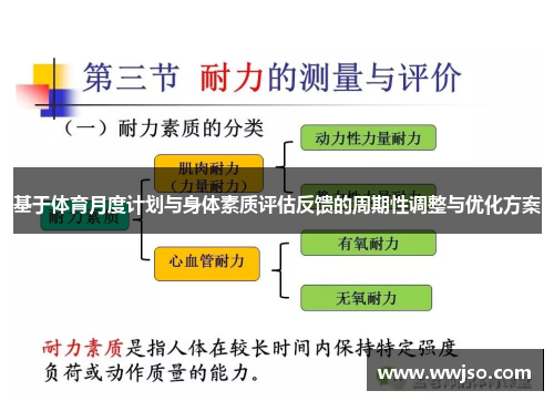 基于体育月度计划与身体素质评估反馈的周期性调整与优化方案