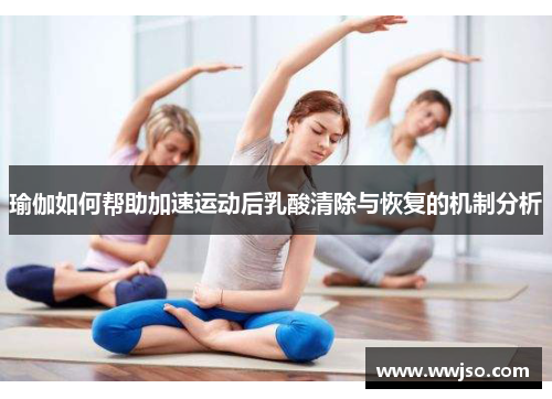 瑜伽如何帮助加速运动后乳酸清除与恢复的机制分析